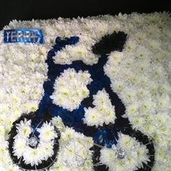 Bicycle Tribute 